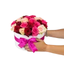 Květinový box růží